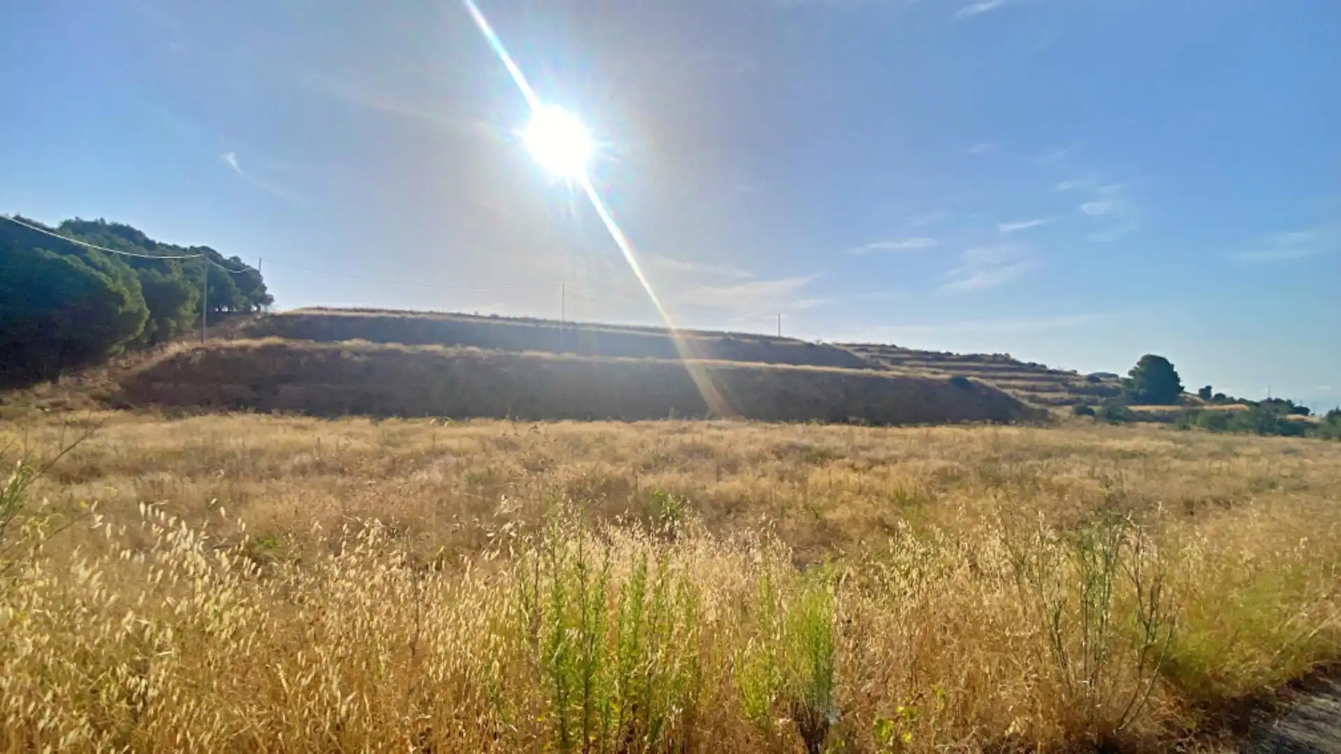 Terreno en venta en Aledo