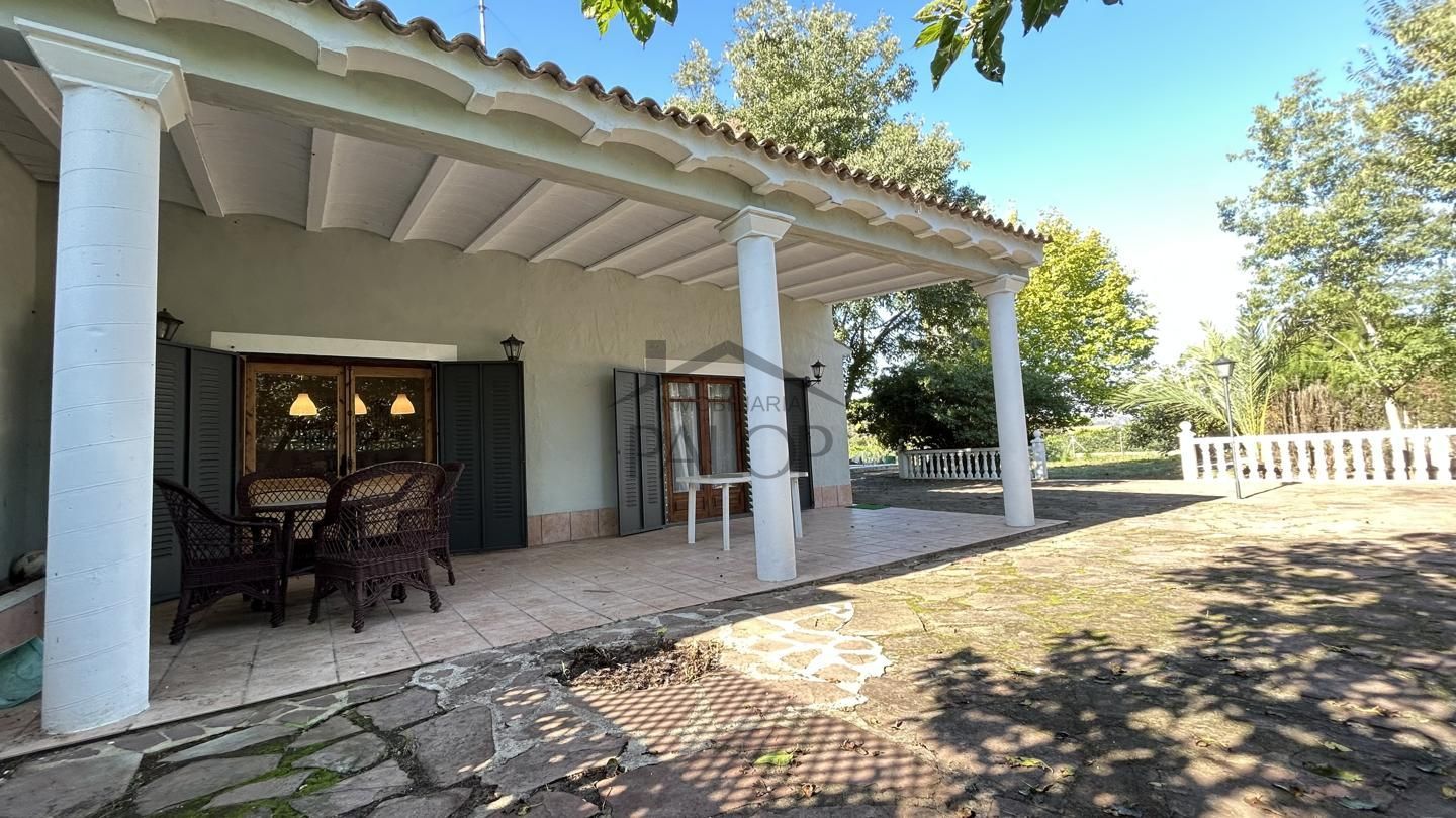 Exterior view of Country house for sale in Alzira