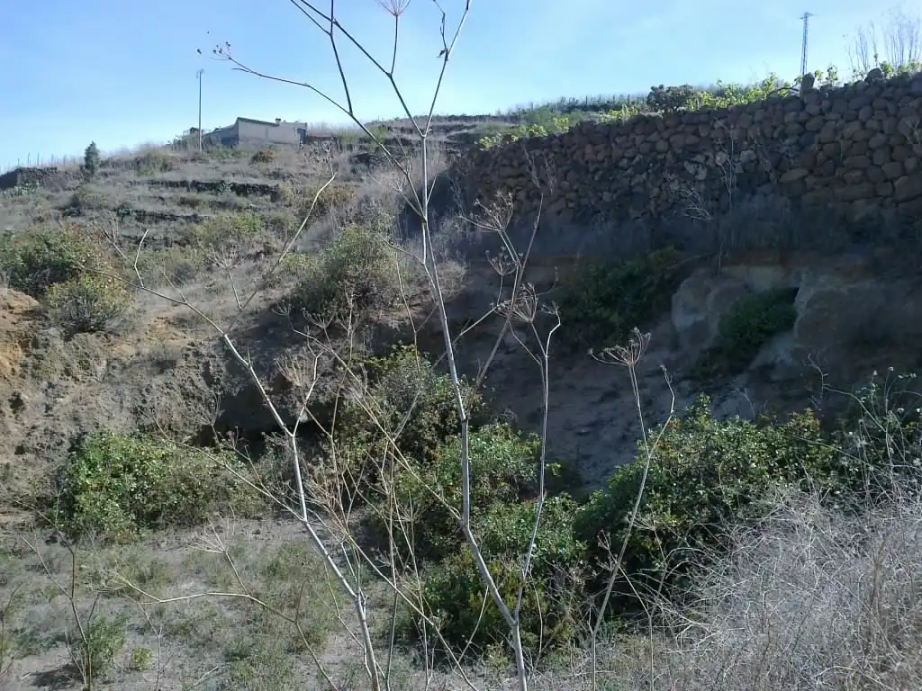 Rural land for sale in Calle Galván, imagen 8