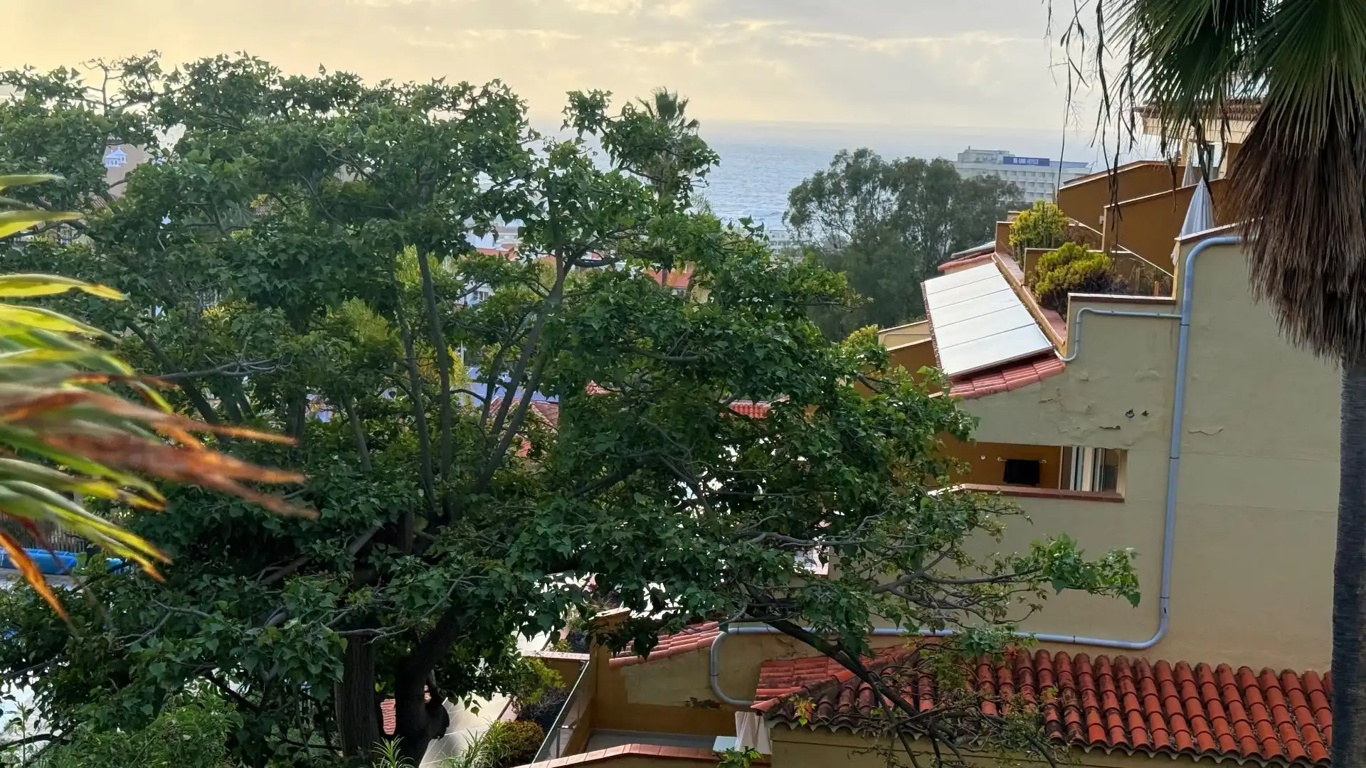 Vista exterior de Apartamento en venta en Puerto de la Cruz con Jardín privado, Trastero y Amueblado