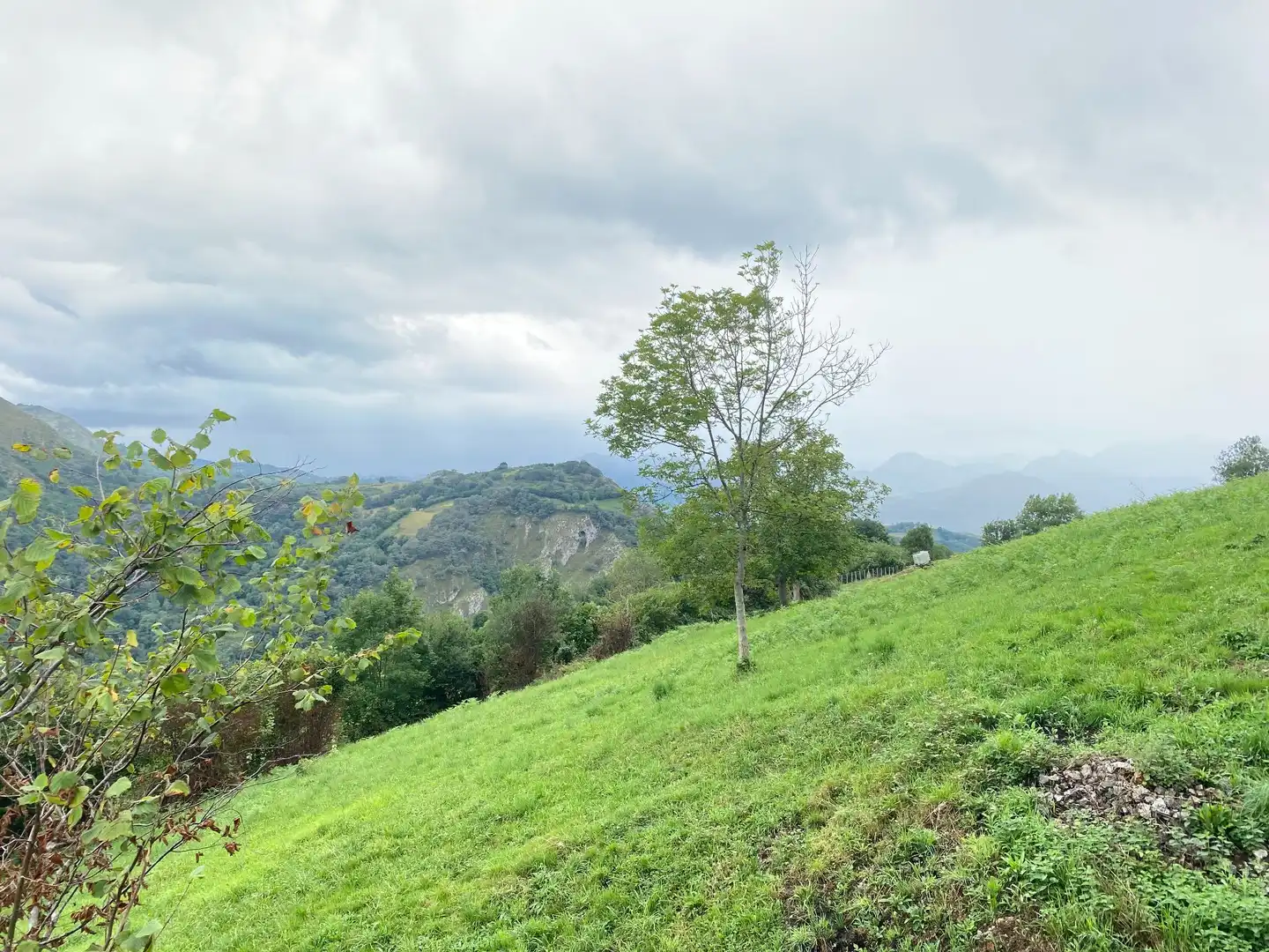 Houses for sale in Gamonedo, Cangas de Onís