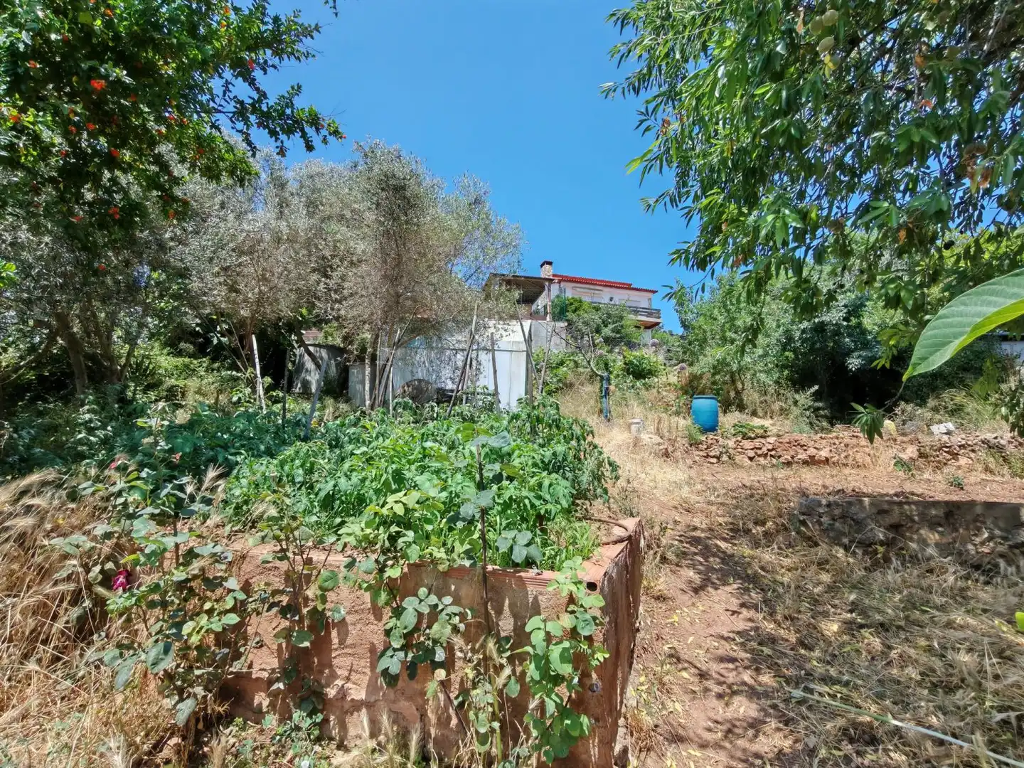 Haus zum Verkauf in Corbera de Llobregat, imagen 24