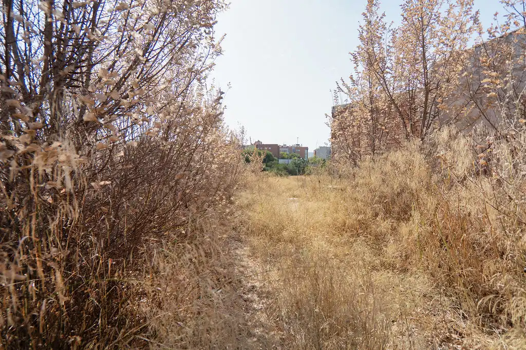 Terreno en venta en Murcia