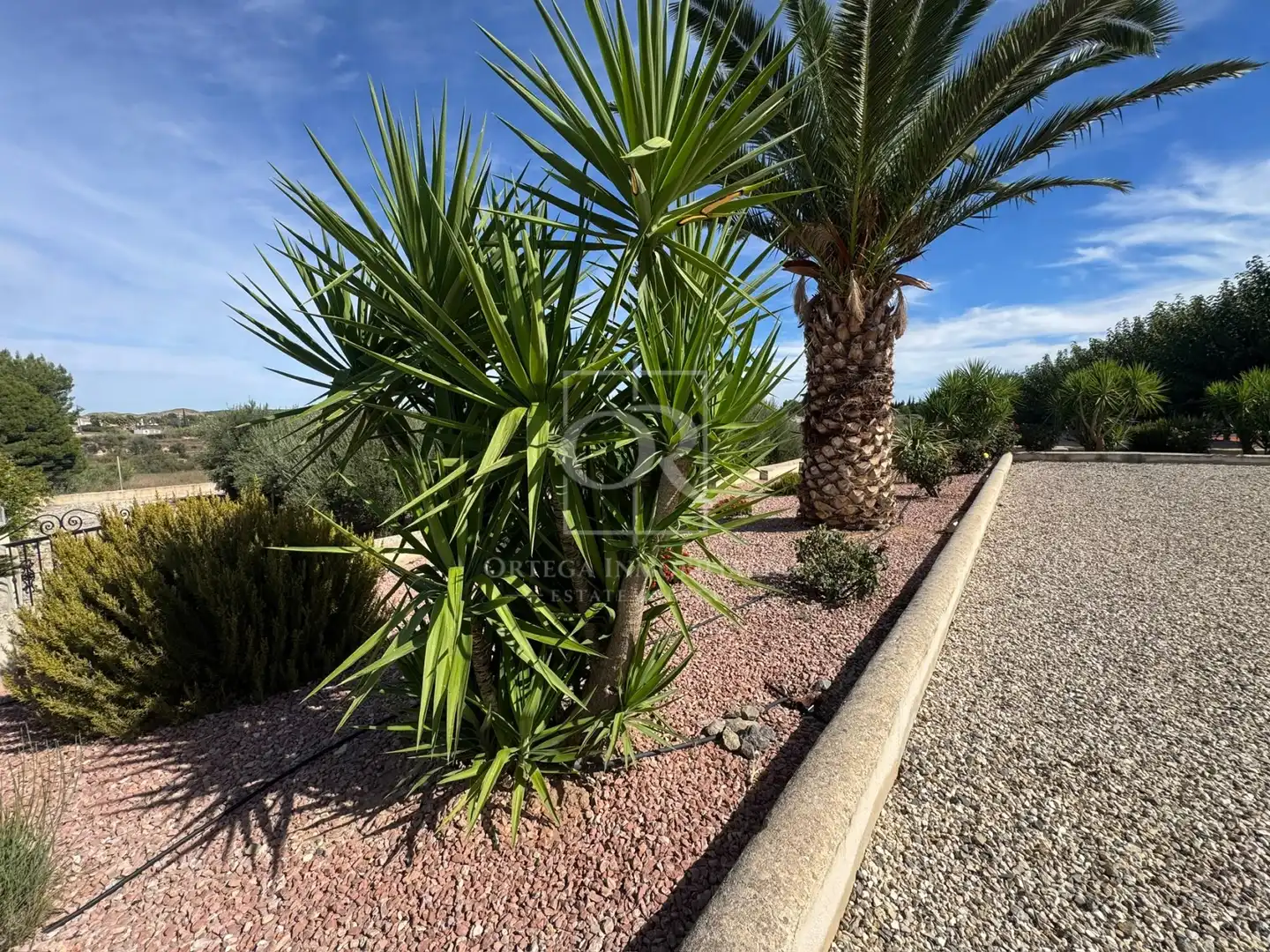 Jardín de Casa o chalet en venta en Cehegín, Murcia