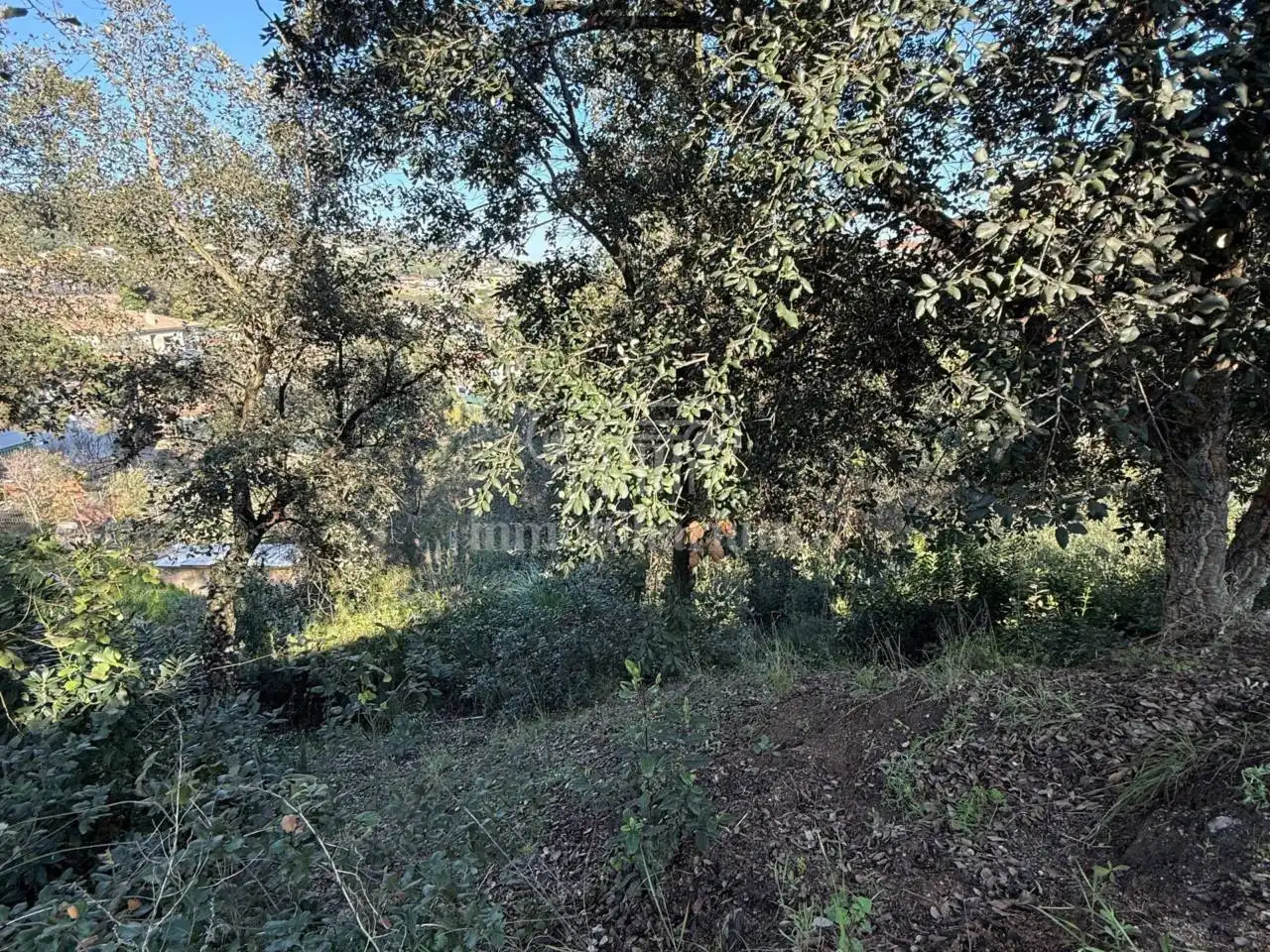 Terreno rústico en venta en Alella, imagen 5