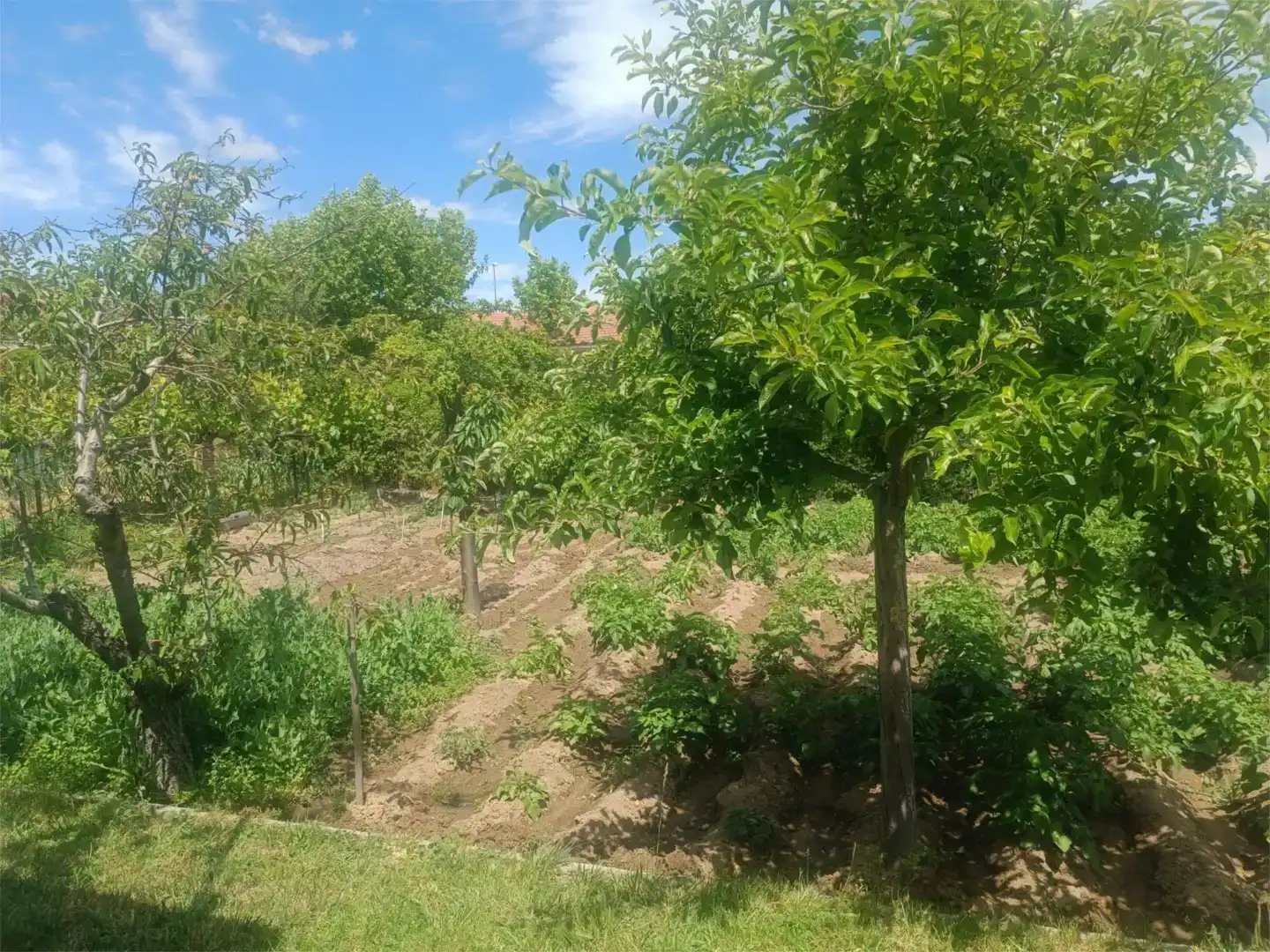 Finca rústica en venda en Villamayor amb Piscina