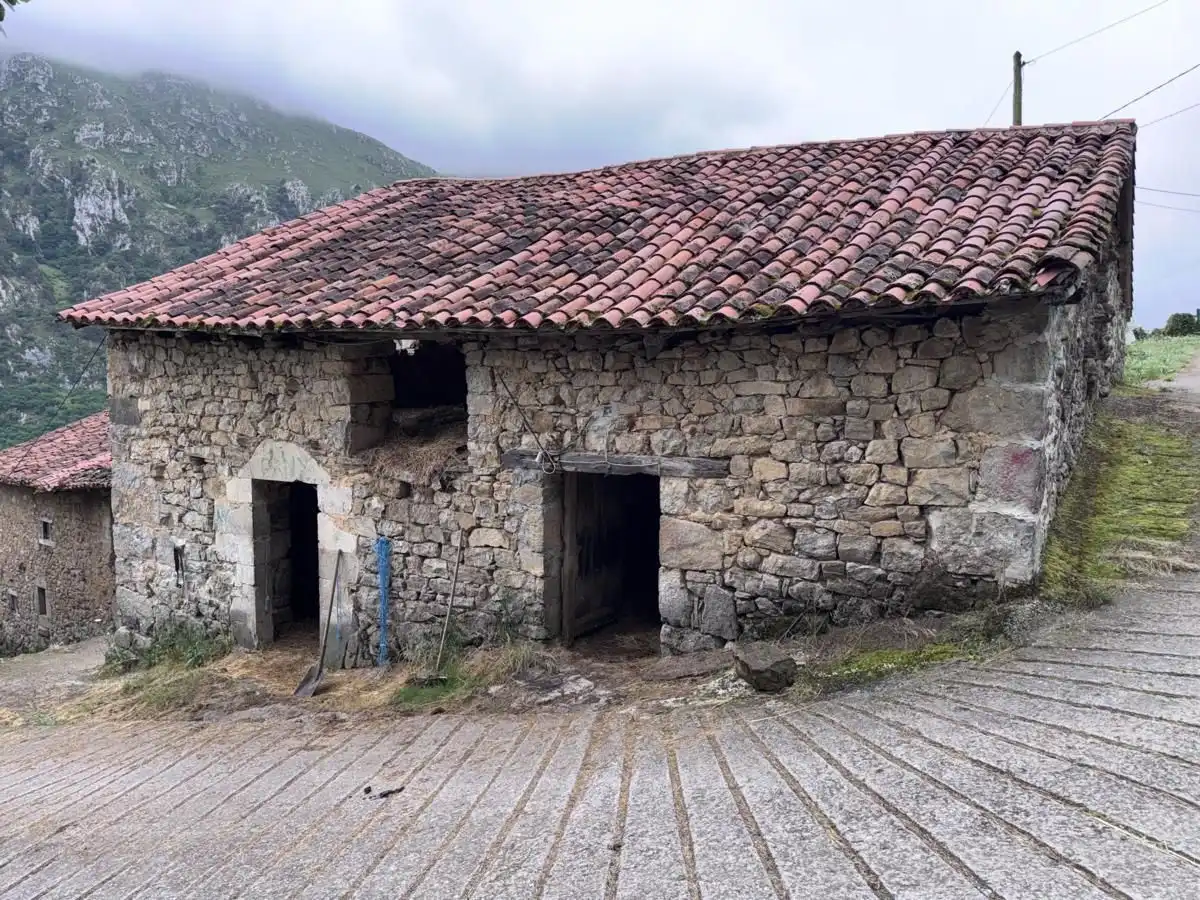 House for sale in Peñamellera Alta, imagen 34