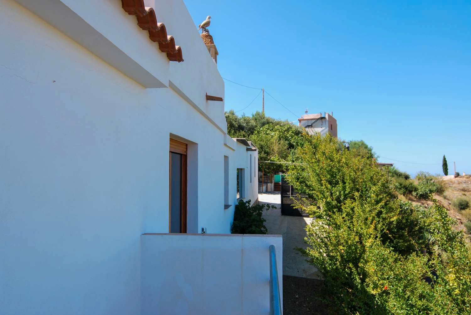 Exterior view of House or chalet for sale in Salobreña