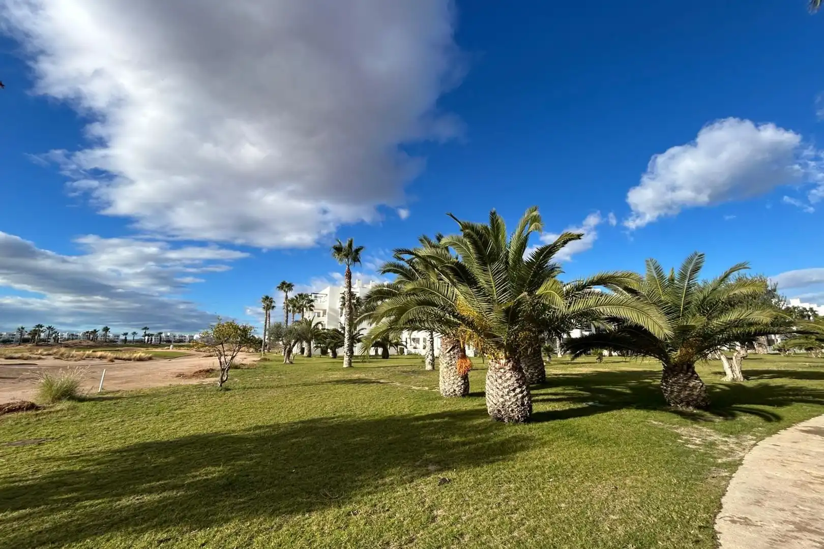 Apartament en venda a Terrazas de la Torre Golf, imagen 45