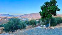 Vista exterior de Finca rústica en venda en Álora amb Aire condicionat, Calefacció i Jardí privat