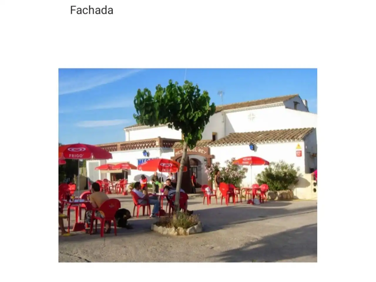 Casa rústica amb jardí en venda a Mas Borràs - Coto del Rey, imagen 3