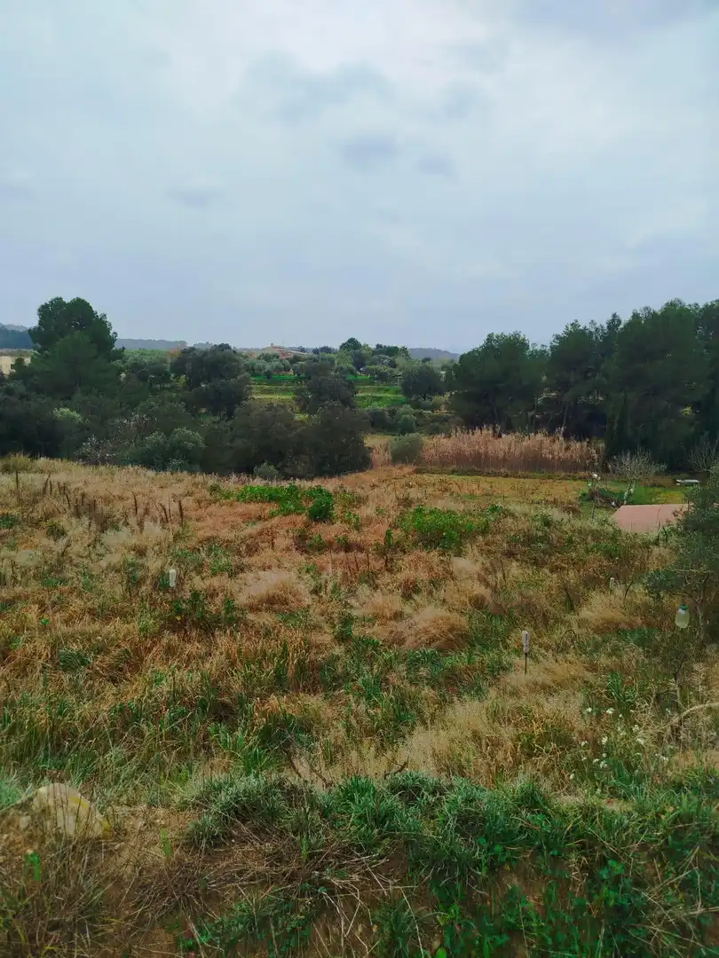 Rural land for sale in Ginestar, imagen 69