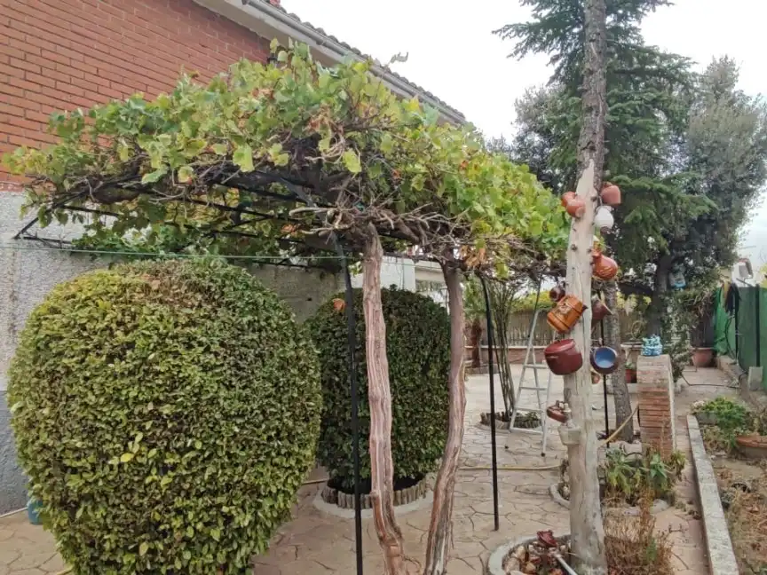 Xalet amb jardí en venda a Saucedoso 218A, imagen 5