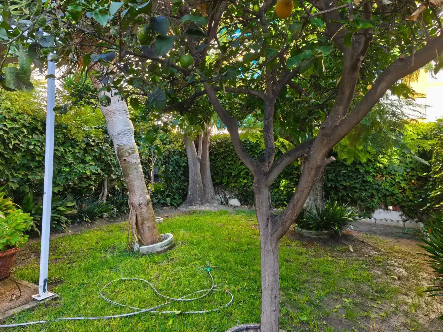 Jardí de Casa o xalet en venda en El Puerto de Santa María amb Aire condicionat, Terrassa i Balcó