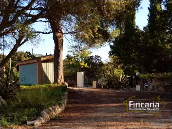 Vista exterior de Finca rústica en venda en Sa Pobla amb Parquet i Piscina comunitària
