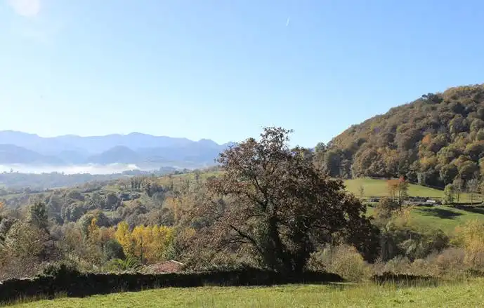 Maison à vendre à Parres, imagen 22