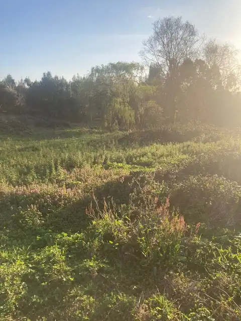 Land for sale in Arteixo