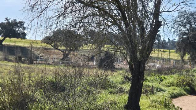 Terreno en Venta en Diseminado Alcornoquillo en Dehesilla de Calamón - Campomanes