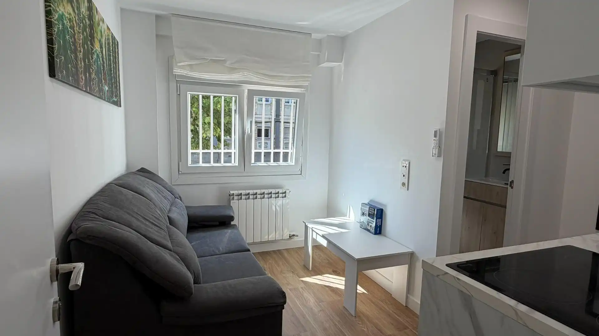 Sala d'estar de Apartament de lloguer en Zaragoza amb Aire condicionat, Calefacció i Moblat