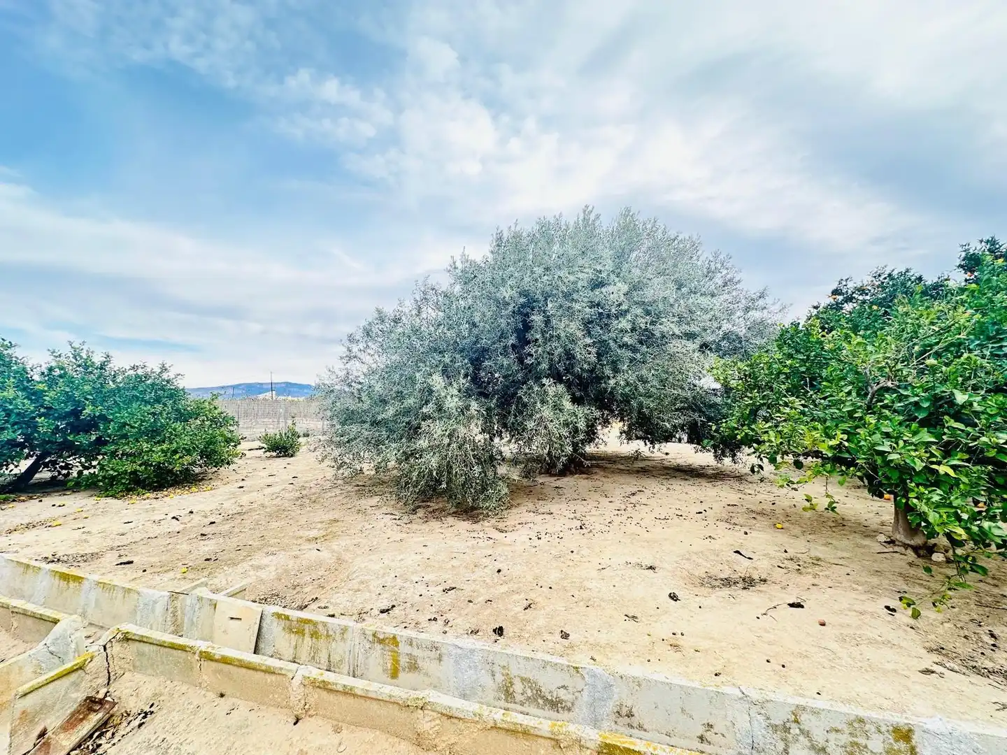 Casa o xalet en venda en Ulea amb Aire condicionat, Calefacció i Jardí privat