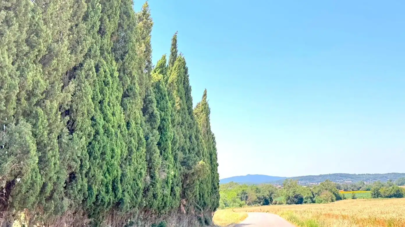 Vista exterior de Casa o xalet en venda en Ullastret amb Aire condicionat, Calefacció i Jardí privat