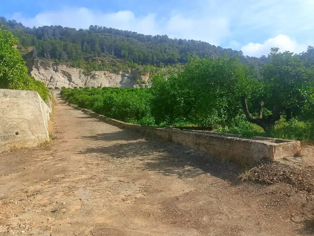 Land for sale in L'Atzúbia