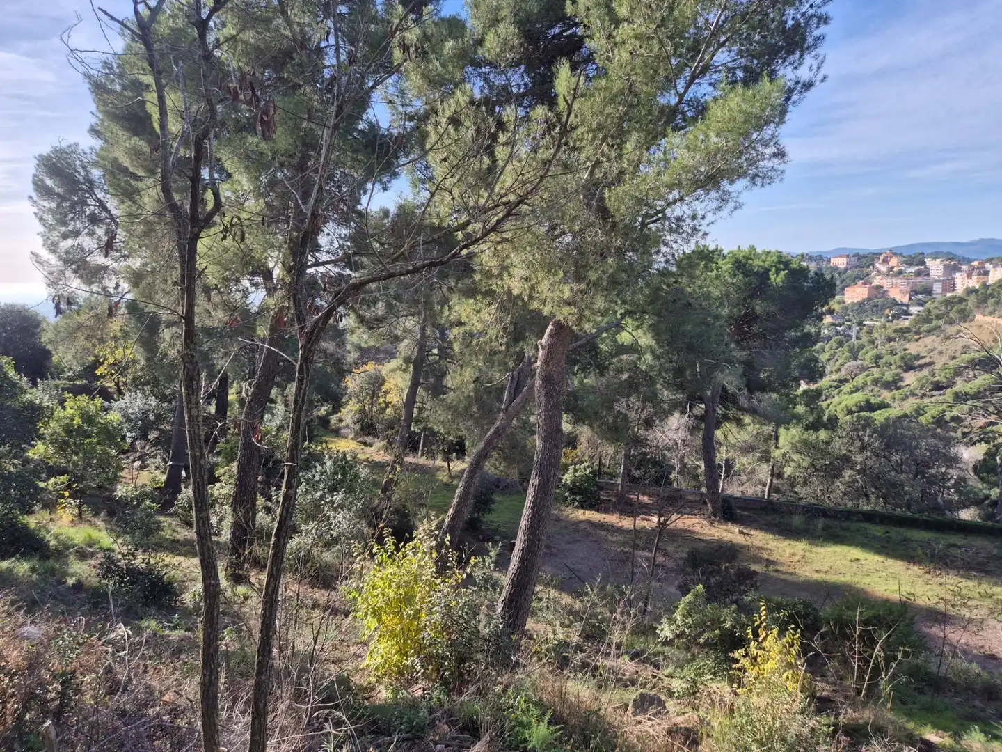 Planta baixa en venda en Barcelona