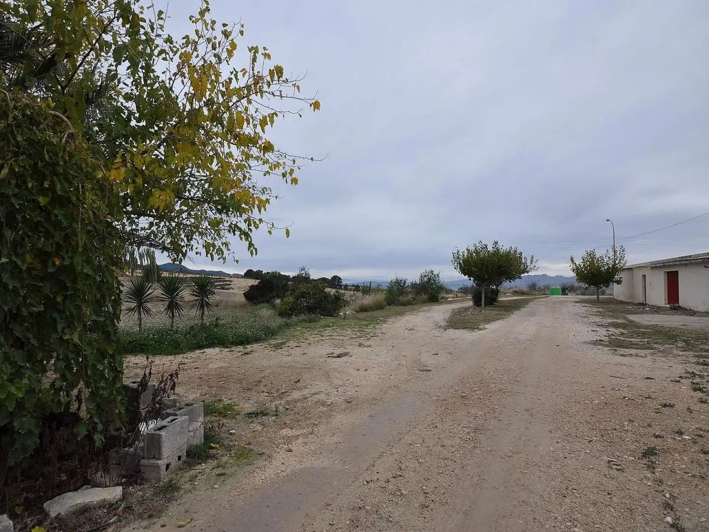 Finca rústica en venda en Jumilla