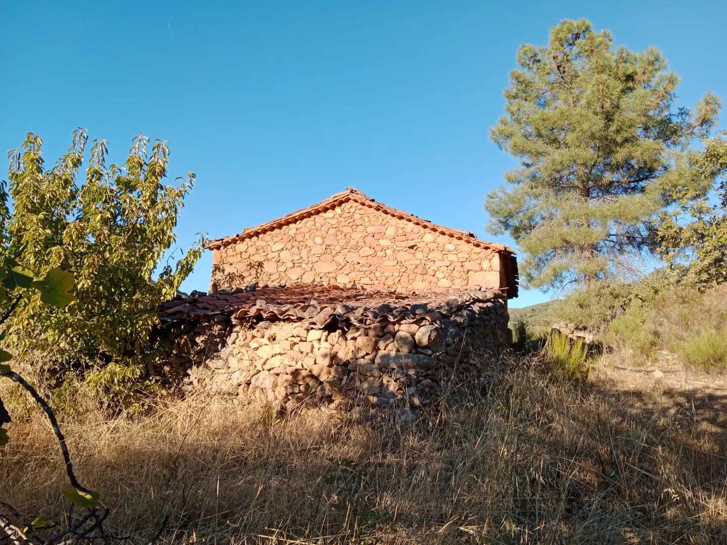 Vista exterior de Terreno en venta en Barrado