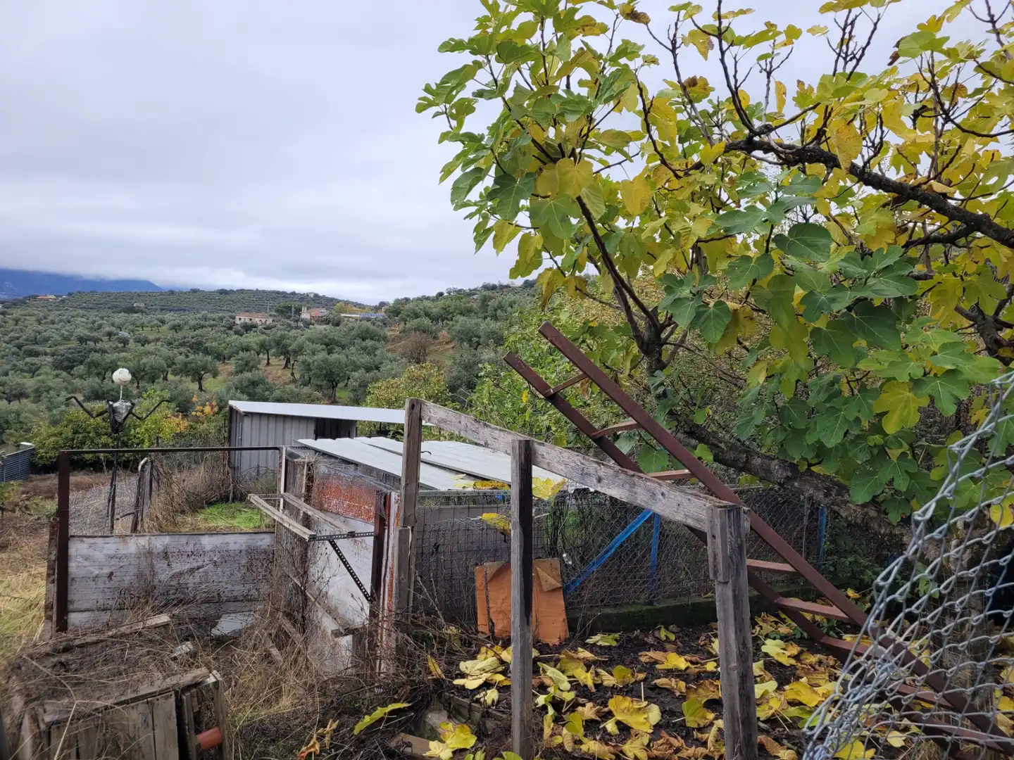 Terreni e lotti in vendita a Carretera Malpartida 5M, imagen 7