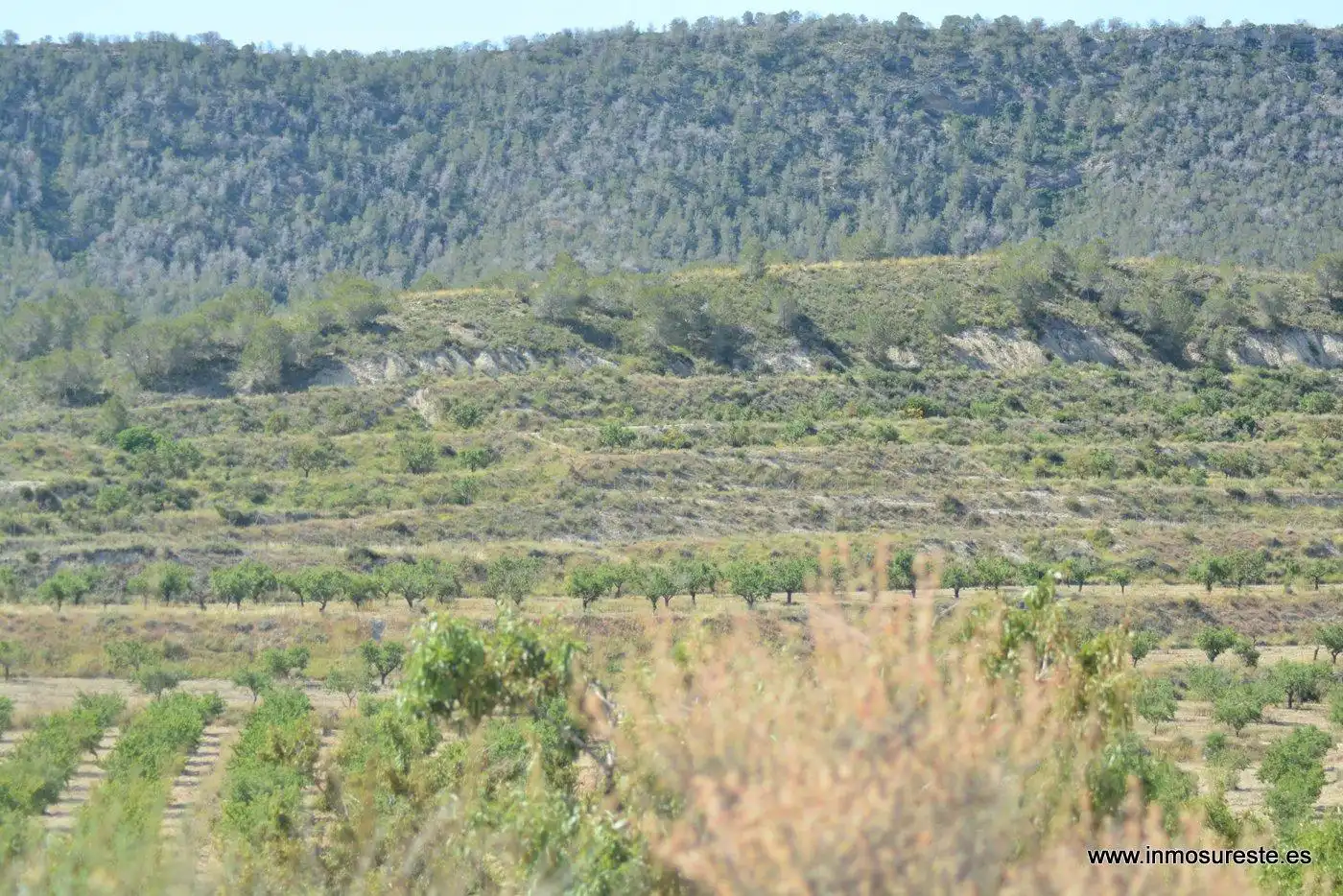Terreno rustico in vendita a Campo de Murcia, imagen 11