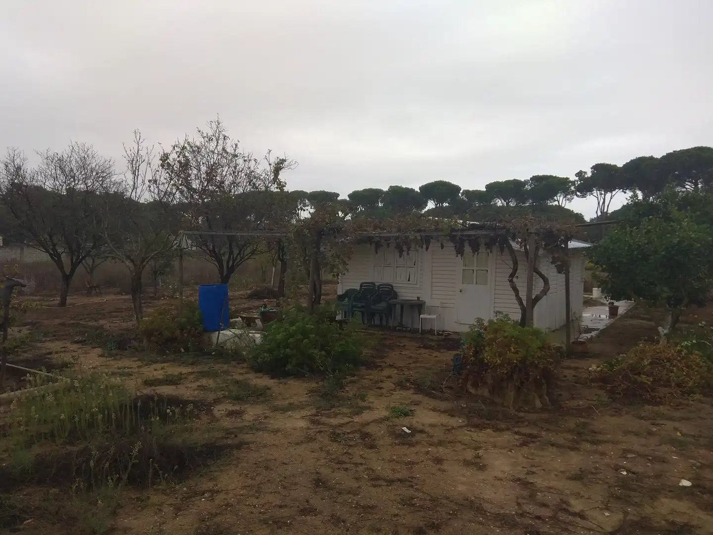 Residential land for sale in Carretera de la Barrosa, imagen 5