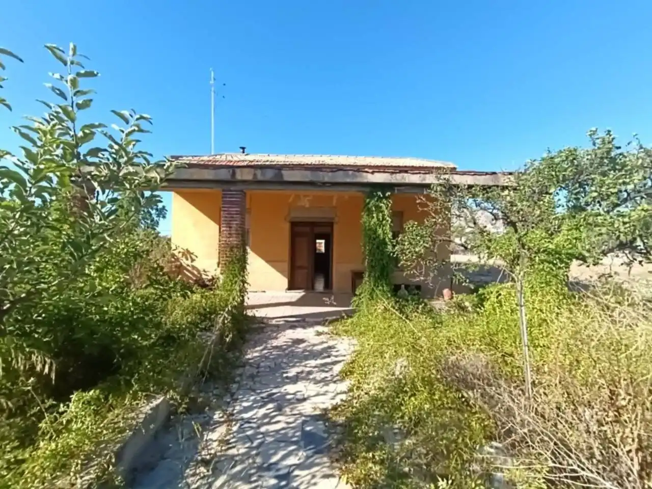 Vista exterior de Casa o chalet en venta en Petrer con Terraza