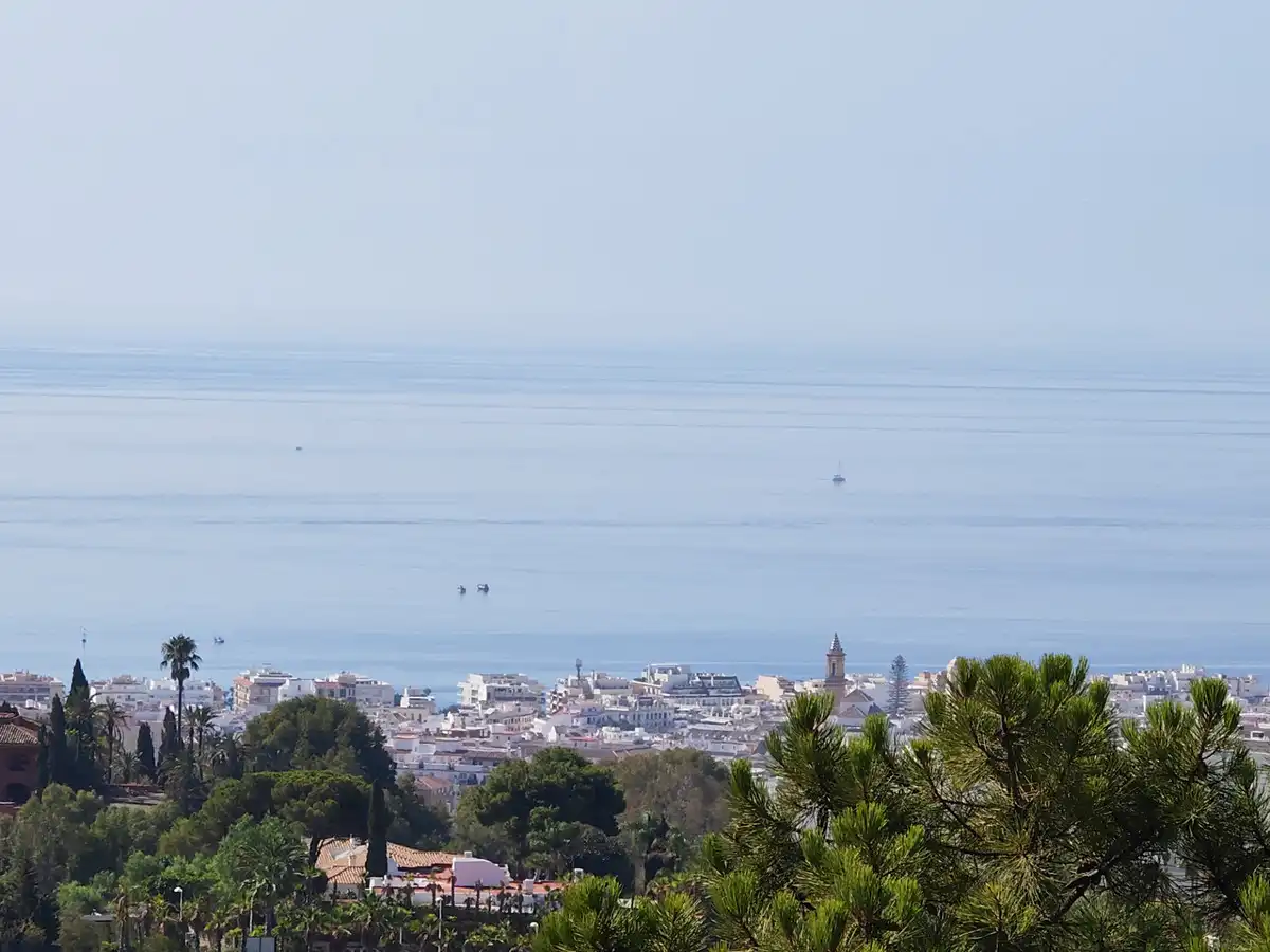 Vista exterior de Casa o xalet en venda en Estepona amb Aire condicionat, Jardí privat i Terrassa