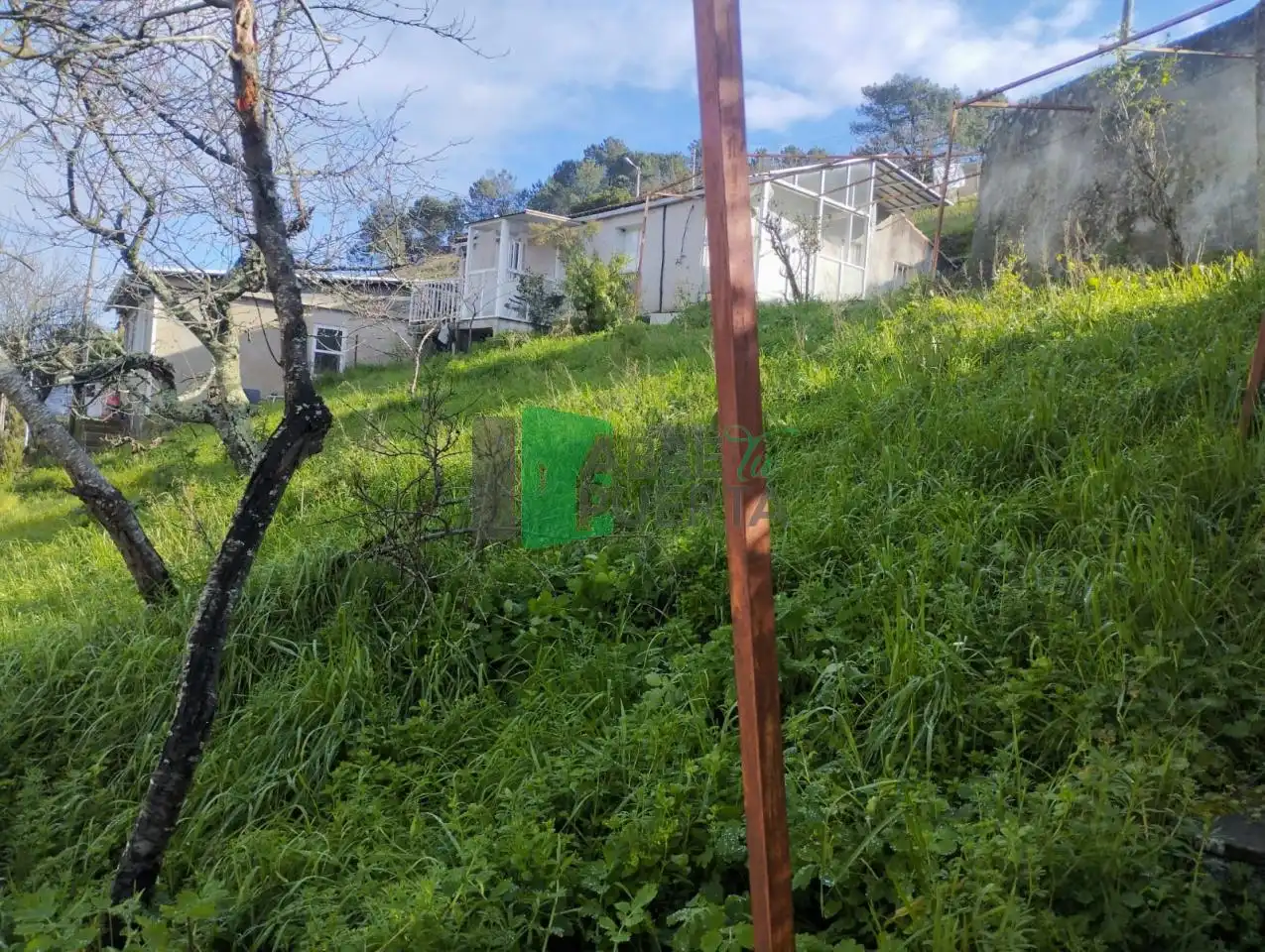 Haus mit Garten zum Verkauf in San Francisco, imagen 20