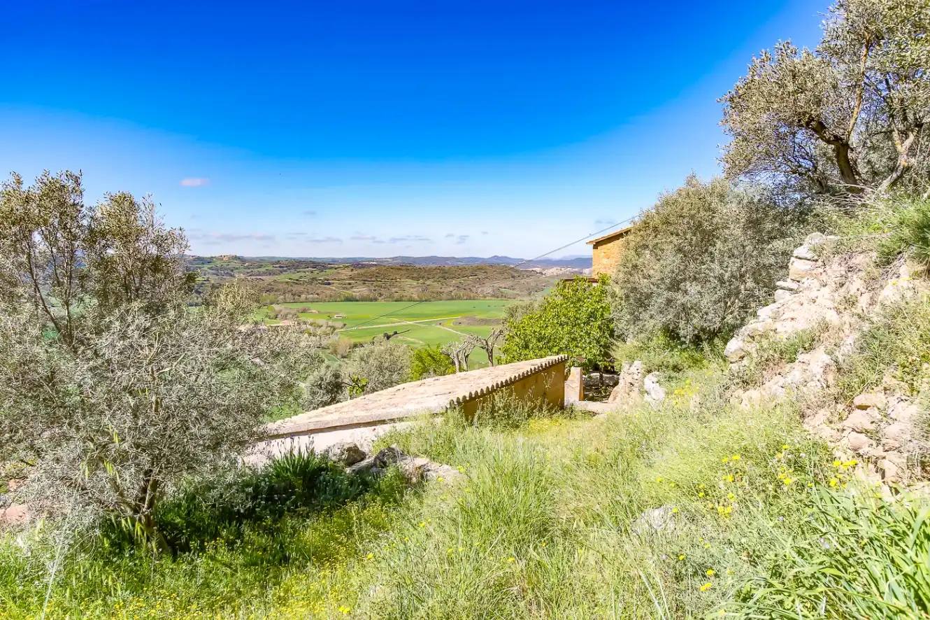 Jardí de Finca rústica en venda en Vilanova de l'Aguda