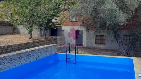 OPORTUNIDAD FINCA  IDEAL PARA TURISMO RURAL con Chalet Independiente, de 8.000m² aprox., de parcela con olivos. Situada entre Alan