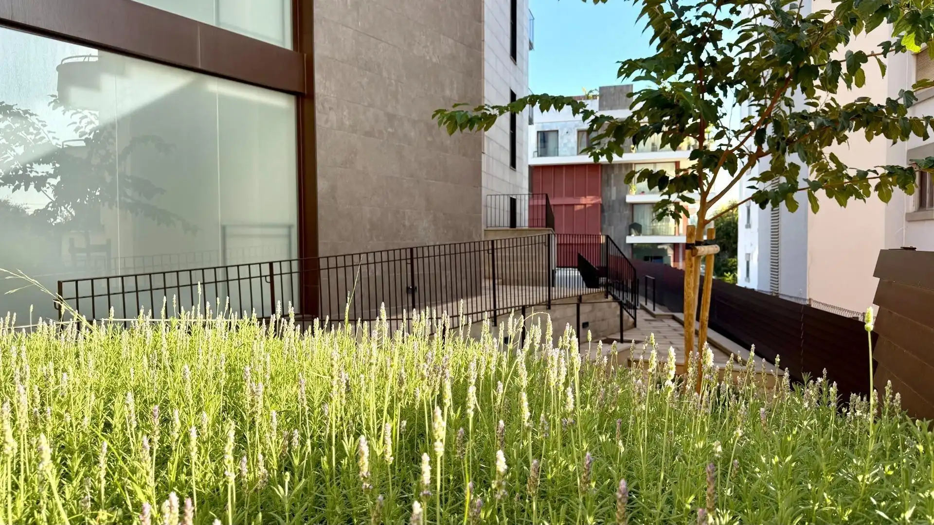 Terrasse von Erdgeschoss zur Miete in  Palma de Mallorca mit Klimaanlage, Parkett und Terrasse