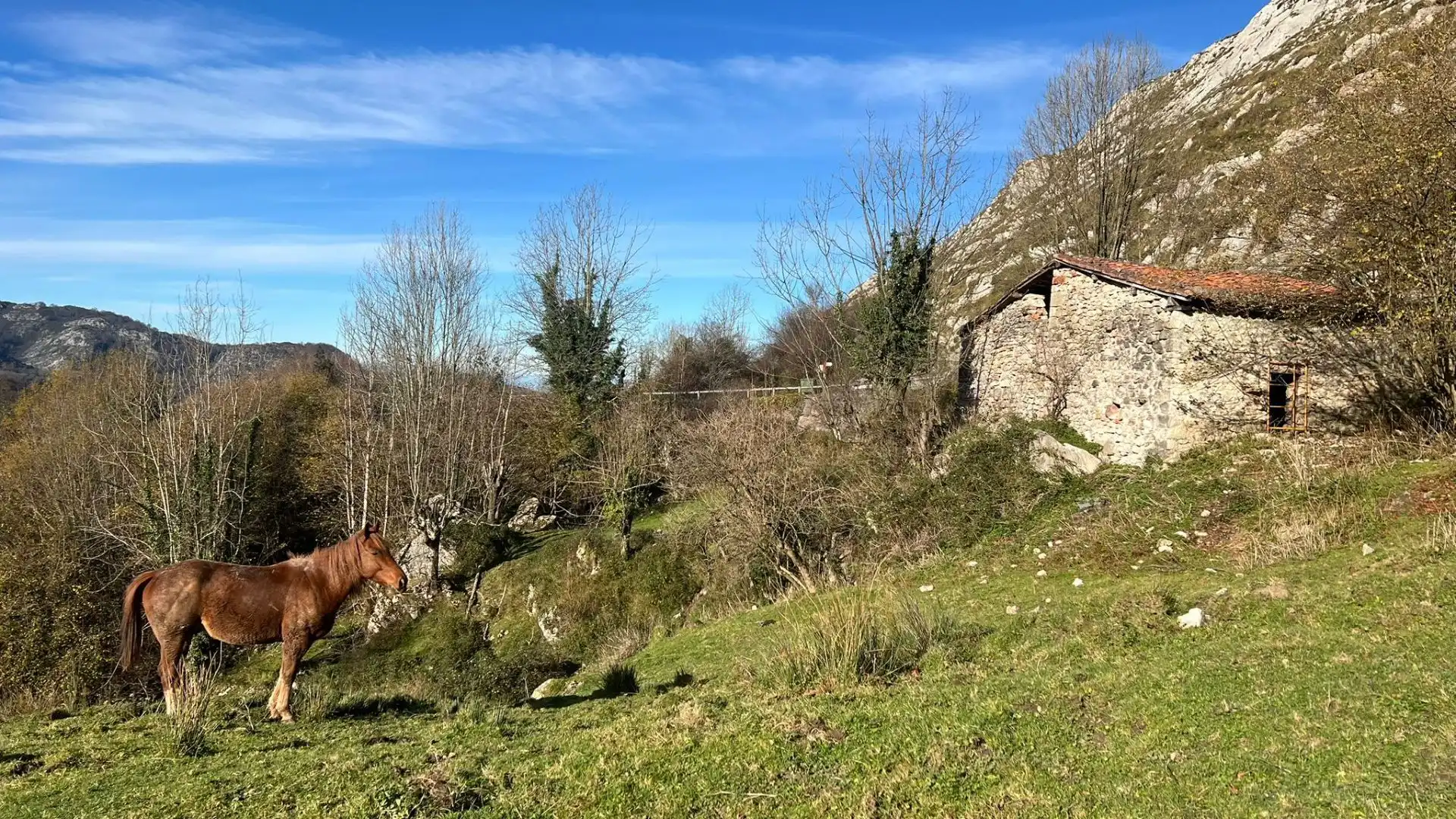 Terreno rustico in vendita a Cangas de Onís, imagen 4