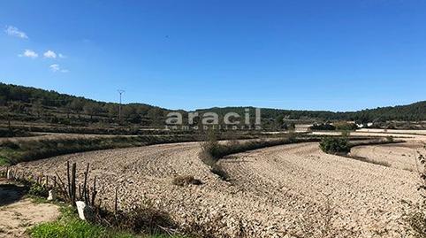 Foto 2 de Finca rústica en venda a Centre - Zona Alta, Alicante
