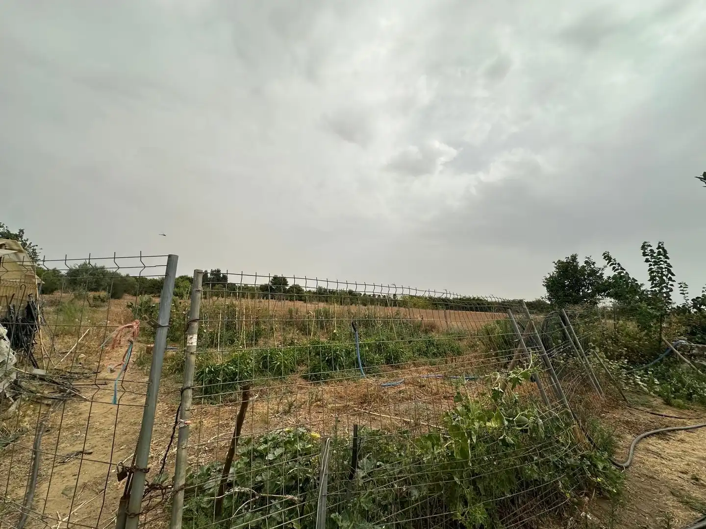 Terreni e lotti in vendita a Pedanías Norte, imagen 8