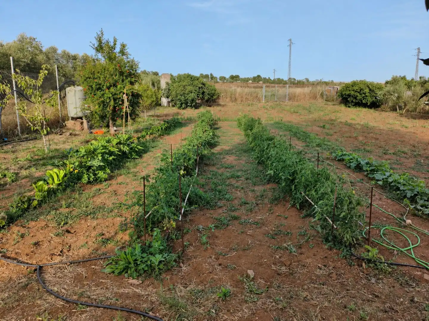 Finca rústica en venda en Beas amb Aire condicionat i Terrassa