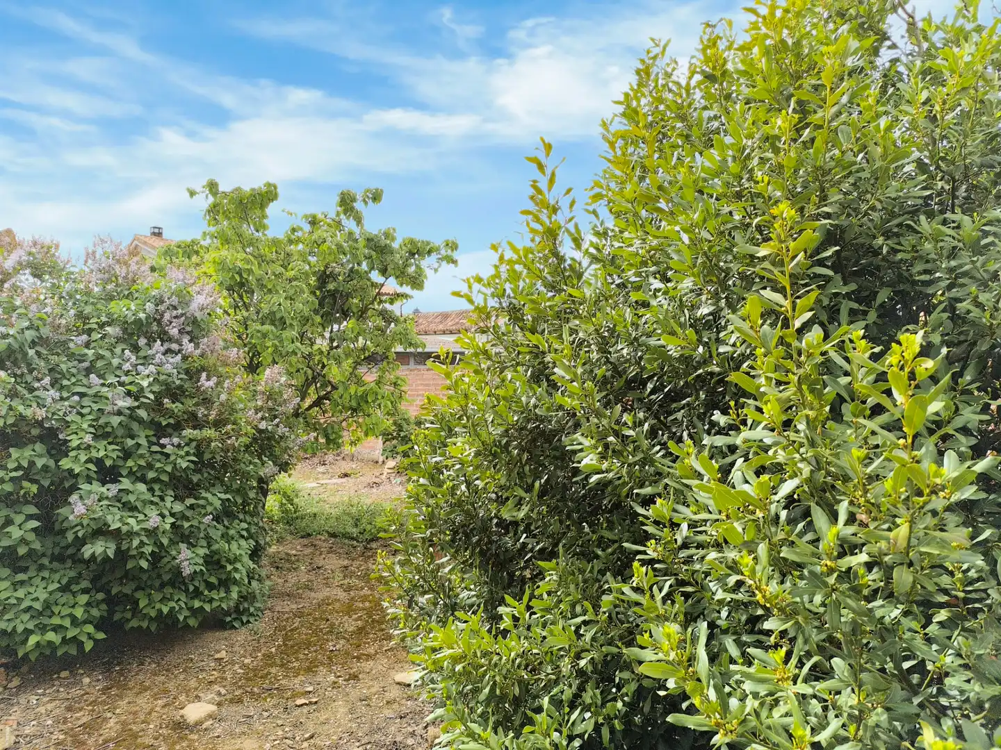 Casa o xalet en venda en Pedraza de Campos amb Calefacció, Jardí privat i Traster