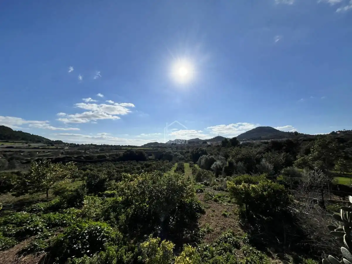 Houses for sale in Son Servera Poble