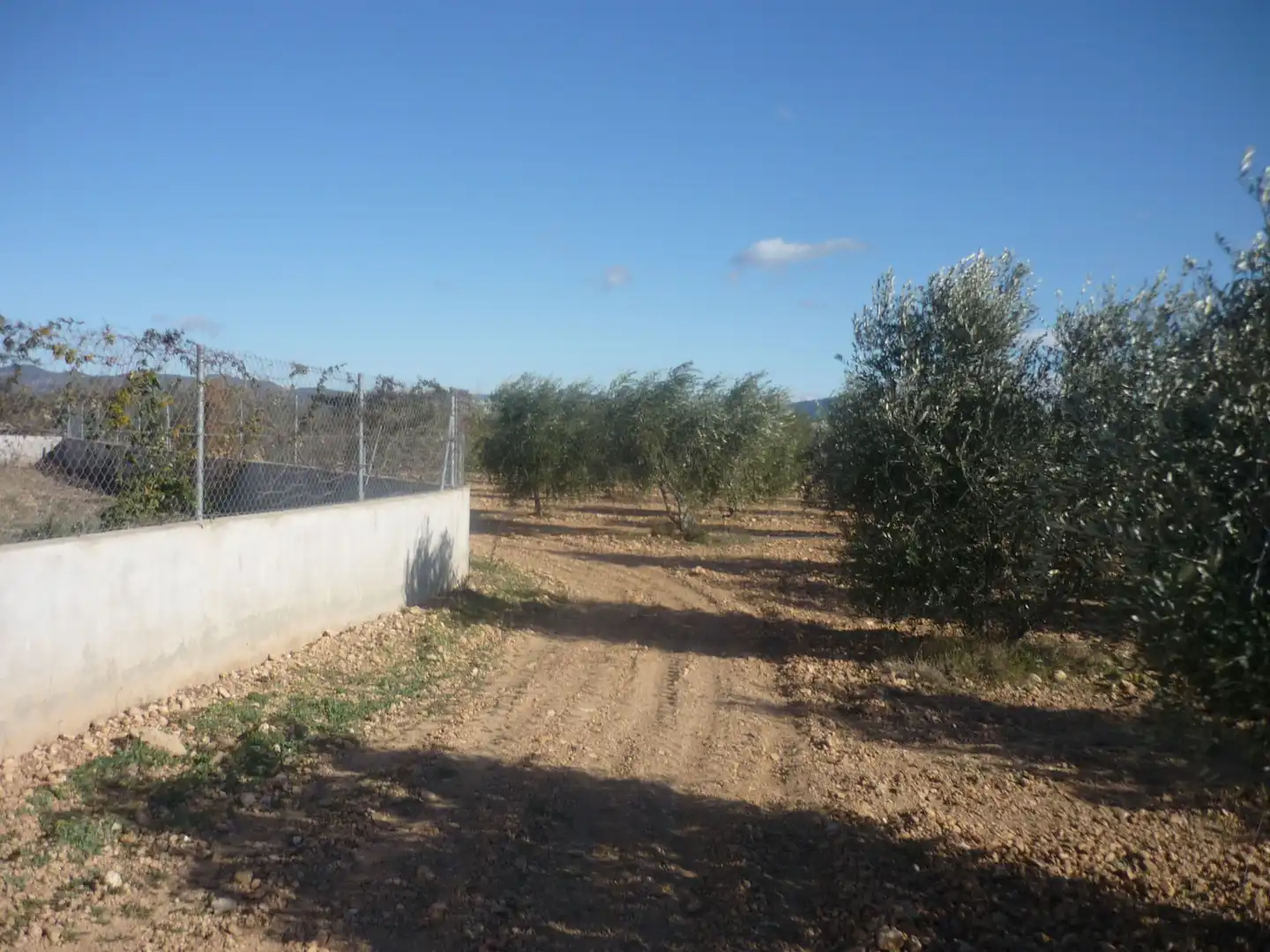 Land for sale in Vila-rodona