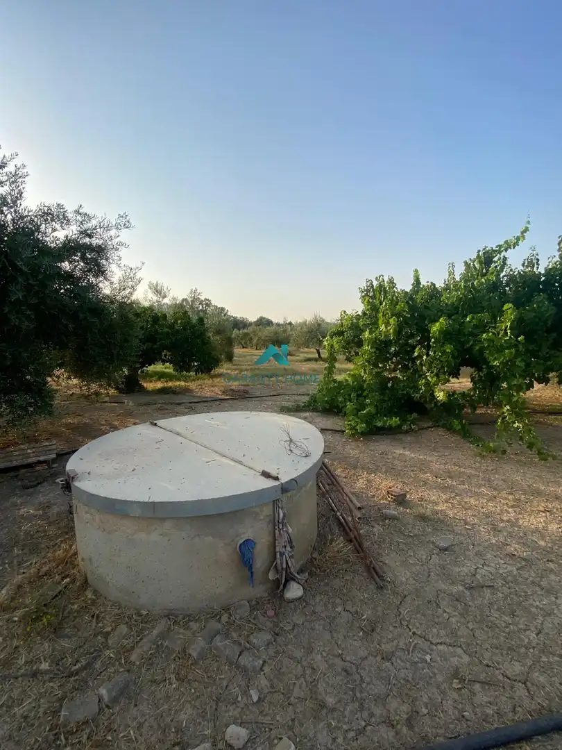 Casa o xalet en venda en Alcaudete amb Jardí privat, Traster i Piscina