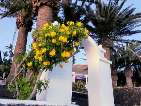 Vista exterior de Piso en venta en Tías con Jardín privado, Parquet y Piscina