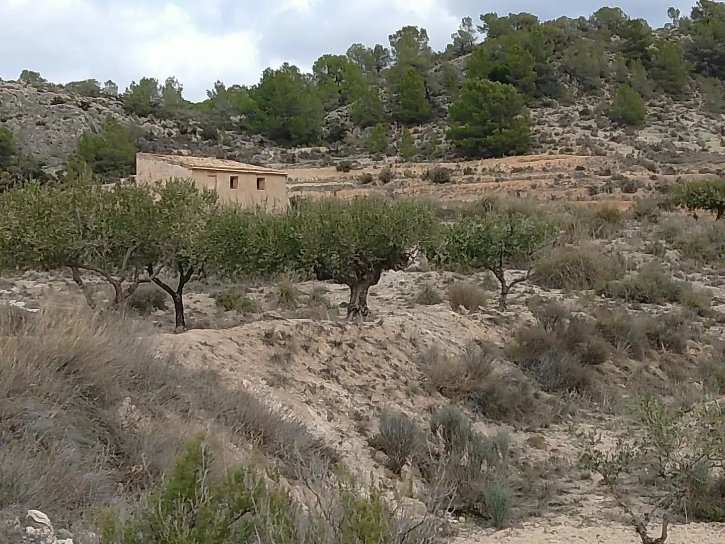 Casa rustica con giardino in vendita a Lugar Castillo, imagen 16