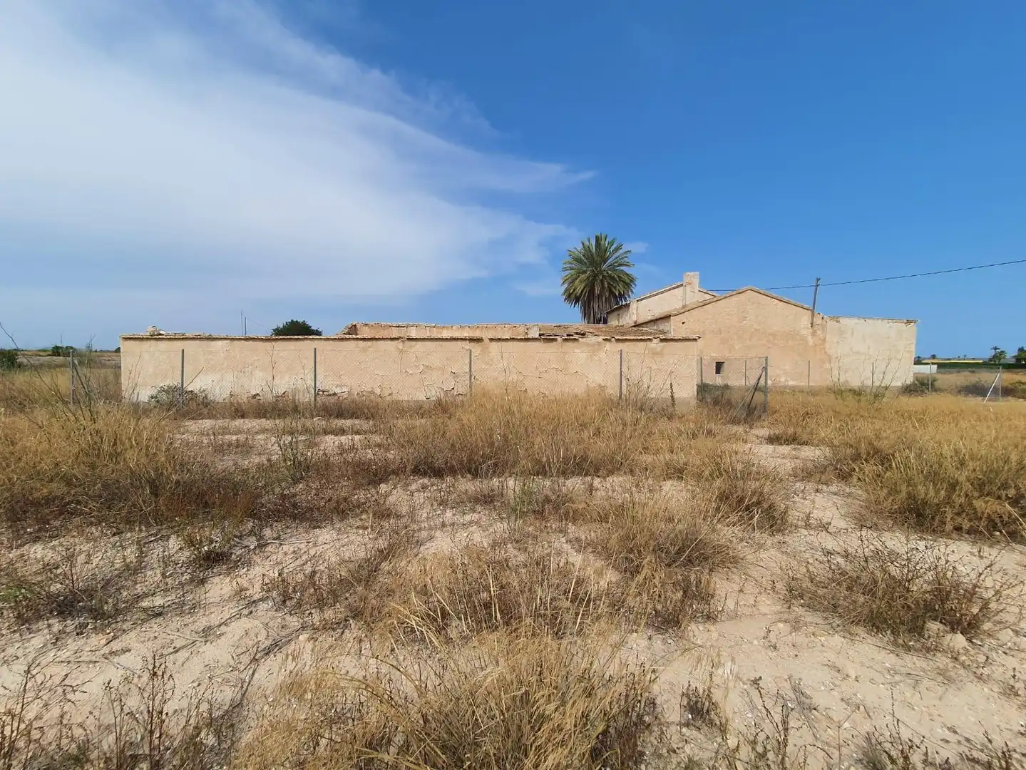 Terrain rustique à vendre à Elche ciudad, imagen 7