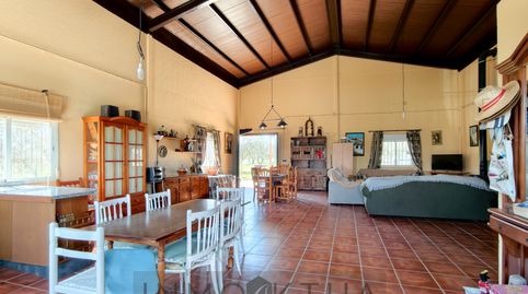 Foto 5 de Finca rústica en venta en Lebrija, Sevilla